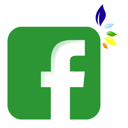 facebook facebook